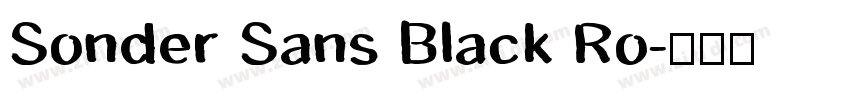 Sonder Sans Black Ro字体转换